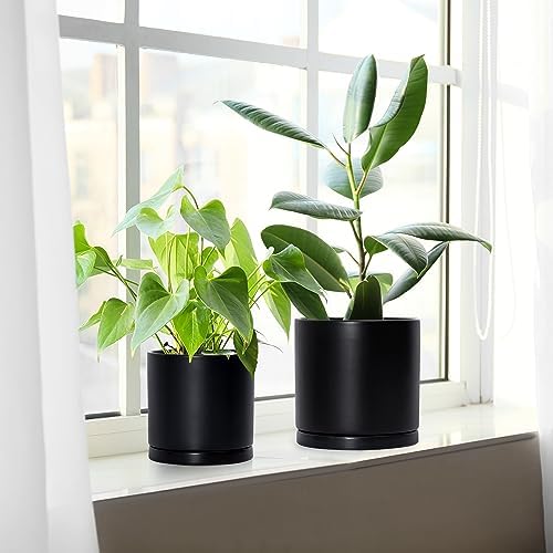 D'vine Dev 3-Pack Black Terracotta Pots & Saucers, 4/5/6 in, 40-T-A-2 - Image 7