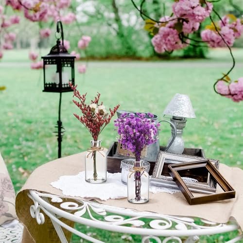 Nuanchu 10 Pcs Boho Wildflowers Dried Flowers Bouquet, 10 Glass Vase, Rope - Image 6