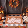 Moucuny 2 Coir Outdoor Mat,Non Slip, 24'' X 35'',16'' X 28'', White Pumpkin by Moucuny