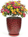 9.5 Inch Flower Pots for Indoor Plants,Ceramic Planter with Saucer Drainage Leak-Proof Mesh Gardening Gloves (Diamond Red) by Unknown