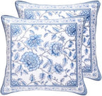 ISAENNE Designer Velvet Throw Pillow Cover,Set of 2,18"x18"-BlueWilow by Isaennehomedecoration