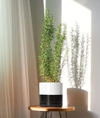 D'vine Dev 8.2 Inch Ceramic Planter Pot, Black White Two Tone, 94-O-D-L - Image 5