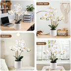 Fake Orchid Plant 23" Tall, Realistic Touch Leaves, Potted Phalaenopsis Artificial Plants Indoor for Home Decor Small Office Home Living Room-White - Image 3