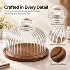 Glass Pumpkin Cloche with Wood Base, Decorative Glass Display Dome Tray - Image 5