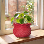 Ceramic Planter 6 Inch, Ceramic Plant Pots for Indoor Plants, Red - Image 3