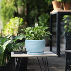 SQOWL Ceramic Planter - 8 inch Pot for Plants Indoor Outdoor, Modern Ceramic Flower Pot with Drainage Hole and Saucer, Decorative Round Planter, Home Office Decor, Plant Lovers Gifts, Blue - Image 5
