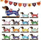 Interchangeable Holiday Wooden Animal Decor Magnetic Figurine (B) - Image 6