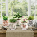 Ceramic-Planters-for-Indoor-Plants with Saucer, 6 inch Vintage Ice Crackle Glaze Plant Pots with Drainage Holes, Decorative Flower Pots for Outdoor Garden Home Decor, Tuscan Pot for Plant - Image 2