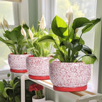 SQOWL Ceramic Planters for Indoor Plants - 10 Inch Flower Pots with Drainage Hole and Saucer, Decorative Ceramic Plant Pots, Round Large Planter Outdoor, Room Decor, Housewarming Gifts, Red and White - Image 6