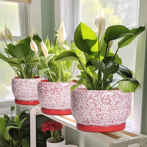 SQOWL Ceramic Planters for Indoor Plants - 10 Inch Flower Pots with Drainage Hole and Saucer, Decorative Ceramic Plant Pots, Round Large Planter Outdoor, Room Decor, Housewarming Gifts, Red and White - Image 6