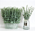130PC Faux Eucalyptus Stems Silver Dollar Eucalyptus Stems Wedding Decor by VOELIGT