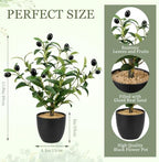 Giegxin 2 Pack 15.8 Inch Small Artificial Olive Tree Indoor 40cm Faux Olive Plant with Black Pot for Home Office Room Table Modern Decor - Image 2