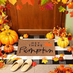 Moucuny 2 Pcs Fall Doormat Outdoor, Hey There Pumpkin Coir Mat, Non-Slip - Image 4