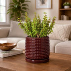 D'vine Dev Beaded Ceramic Pot with Saucer, 6 in, Burgundy Red, 27-C-X-M - Image 7
