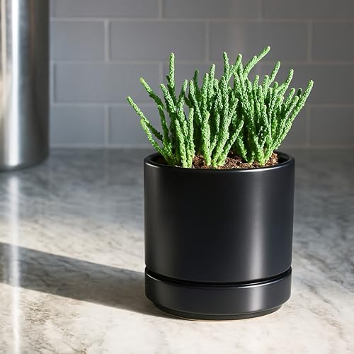 D'vine Dev 4-Pack Ceramic Pots with Saucers, Black, 4.7 in, 94-X-B-2 - Image 5