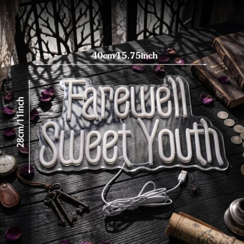 Zhengmy Farewell Sweet Youth Neon Sign, USB Powered Birthday Wall Decor - Image 3