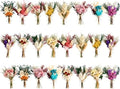 12/24PCS Handmade Dried Flower Bouquet with Stems Natural Dried Wildflowers 7.5 Inch Mini Dry Flowers for Vase Farmhouse Decor, Wedding Styling, Photography Props, Gift DIY(24pcs, Colorful) by Unknown