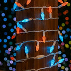 Novelty Lights 24FT 70 LED C6 Mardi Gras String Lights, Teal & Orange - Image 3