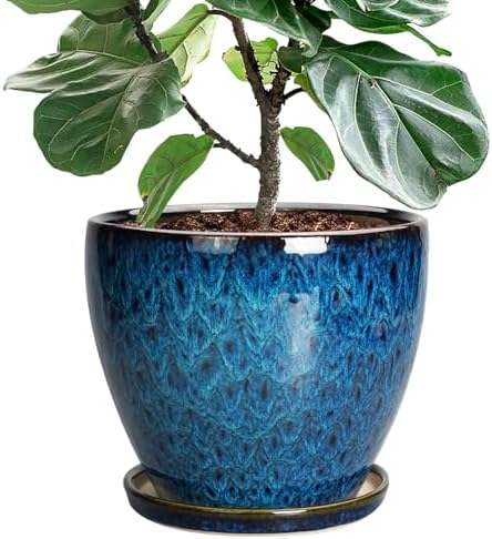 10 Inch Ceramic Planter Pot Round Plant Pot for Indoor Plants Outdoor Large Flower Pot with Drainage Hole and Saucer Blue by EPFamily