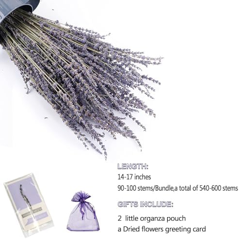 TOMOON 6 Packs Natural Dried Lavender Flowers Bouquet with Stems - Image 3