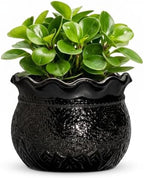 Ceramic Flower Pots 6 Inch, Unique Planter with Drainage, Black by Fivepot