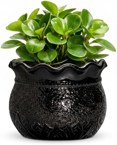 Ceramic Flower Pots 6 Inch, Unique Planter with Drainage, Black by Fivepot