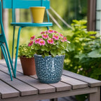 Ceramic Pots for Plants - 5.6 Inch Plant Pot for Indoor Outdoor, Round Succulent Orchid Pot with Drainage Hole and Saucer, Modern Small Flower Pot, Room Home Decor, Plant Lover Gifts, Blue - Image 4