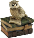 US 4.5 Inch Collared Scops Owl on Books Decorative Trinket Box, Brown by US