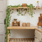 CQURE 72 Pack 504Ft Artificial Ivy Fake Vines,Ivy Garland Greenery Garland Fake Hanging Plants Vines Aesthetic Green Leaves for Bedroom Wedding Party Garden Wall Room Decor… - Image 6