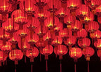 BELECO 12x10ft Fabric Happy Chinese New Year Backdrop Red Lanterns Chinese Traditional Lanterns Lit at Night New Year Eve Background Spring Festival Lunar New Year Decorations Backdrop Photo Props by BELECO