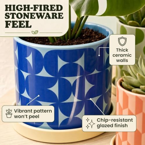 Original Earthlings Ceramic Plant Pots, Indoor Planters - Set of 3 - Image 6