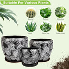 Ceramic Plant Pots With Saucer & Drainage Hole, 8 inch Indoor Flower Pots - Image 5