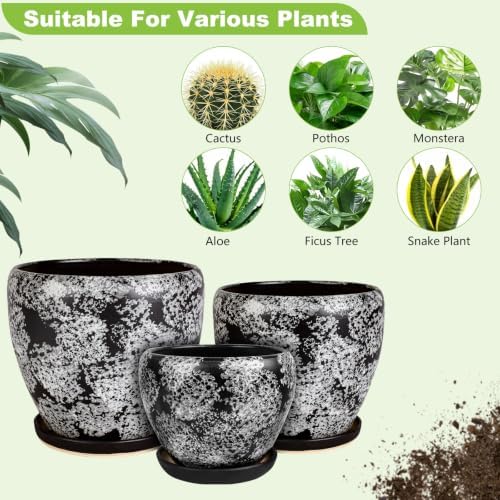 Ceramic Plant Pots With Saucer & Drainage Hole, 6 inch Indoor Flower Pots - Image 5