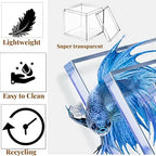 KissYou Acrylic Box Clear Box with Lid Acrylic Square Cube,24 Pack Small Plastic Storage Box Birthday Wedding Graduation Party Decoration - Image 3