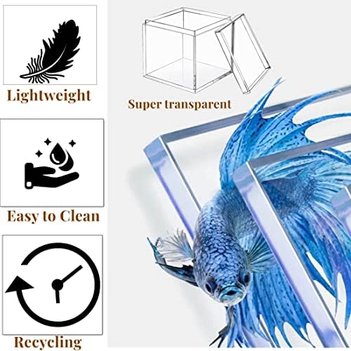 KissYou Acrylic Box Clear Box with Lid Acrylic Square Cube,24 Pack Small Plastic Storage Box Birthday Wedding Graduation Party Decoration - Image 3