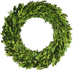 Boxwood Wreath Large 16 inch Preserved Natural Boxwood Wreath Home Decor Stay Fresh for Years Wreath for Christmas Halloween and Thanksgiving Home Decor for Indoor Only by BOXWOODWORLD