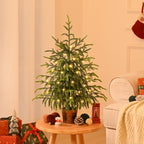 BLEUM CADE 2FT Small Norfolk Pine Tree with Lights, Tabletop Christmas Tree - Image 4
