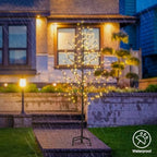 LIGHTSHARE 5FT 200L Lighted Star Light Tree,Warm White, Brown Branch Decoration Light,Home/Festival/Party/Christmas,Indoor and Outdoor Use - Image 3