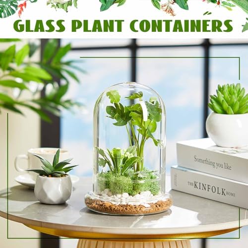 2 Pcs 5.9 x 7.9 Inch Clear Glass Dome Terrarium with Air Hole & Base - Image 4