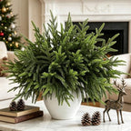 24Pcs 18" Christmas Norfolk Pine Stems, Soft Touch Branches Greenery Picks by Citilya
