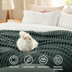 Bedsure Soft Twin Blanket for Bed Decor Gifts Mallard Green 60"x80" - Image 5