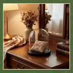 Suclain 4Pc Glass Dome Cloche with Wood Base, Black, 4.3" X 3.8" - Image 5