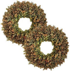 2Pcs 26 Inch Large Artificial Fall Wreaths for Front Door, Farmhouse Autumn Boxwood Wreath for Indoor & Outdoor, Porch, Wall, Window, Harvest Festival & Thanksgiving Home Decor by Unknown