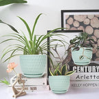 Ceramic Flower Pots with Drainage Hole and Saucer, Modern Round Succulent Planters with Honeycomb Inspired Texture Design, Small to Medium Sized, Set of 3, Green - Image 3