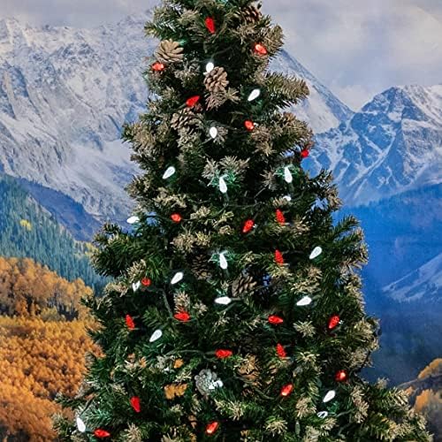 Novelty Lights 24FT 70 LED C6 Christmas String Lights, Red & Pure White - Image 4