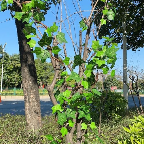 Artificial Rattan Tree Vines with Creeper Leaves Climbing Ivy Branches Grapevines UV Resistant Greenery Garland for Home Garden Landscape wall Hanging Climber Habitat Decor 43” (Green - Pack 4) - Image 4