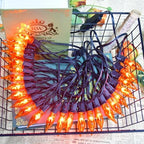 27.8Ft Fall Decor Flickering Flame String Lights Orange Halloween Lights with 25+2 Pack C7 Orange Flame Light Bulbs, Flame String Lights for Fall Halloween Decorations for Home Mantel Party Garden by PASUTO