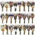 Layhit 24 Pcs Mini Dried Flower Bouquets Boho for Vase, Lavender by ShungLan