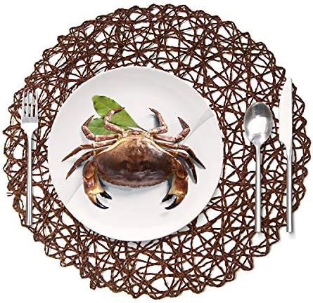 wellhouse Round Paper Fiber Woven Place Mats Decorative Placemat Braided Natural Mat Holidays Parties Decor 15" Set of 12 (Coffee) - Image 5