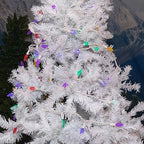 Novelty Lights 24FT 70 LED C6 Outdoor Rainbow Christmas String Lights - Image 4